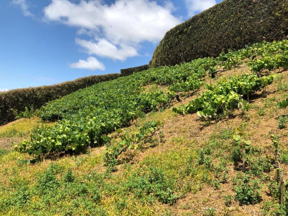 Villa Quinta Do Pico Ponta Delgada Exterior foto